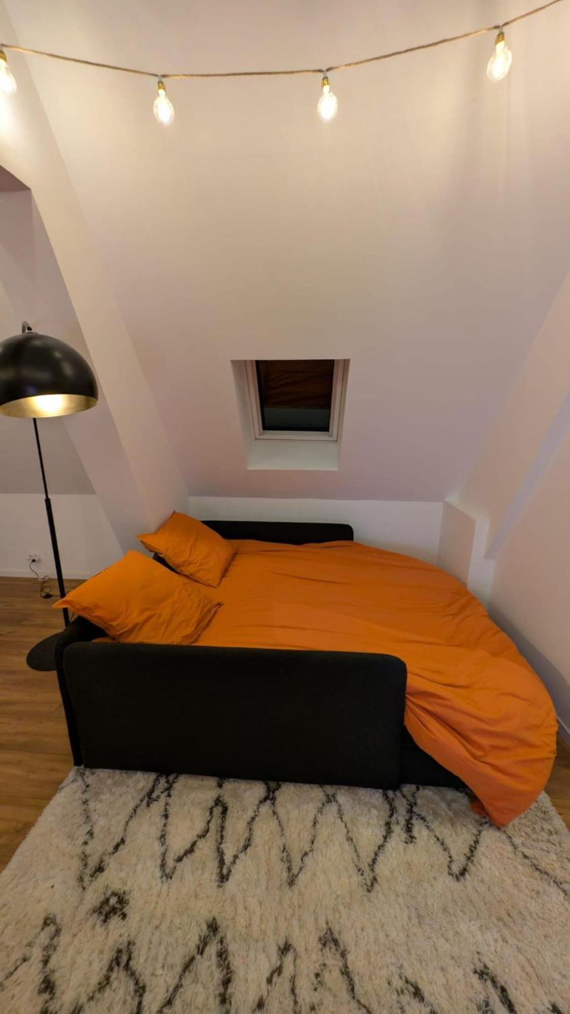 Charmant T3 Hypercentre - Navette Aeroport A 2 Pas Beauvais Eksteriør bilde